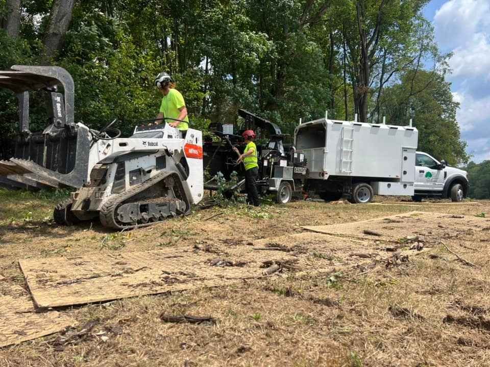 Emergency Tree Service in Irwin PA