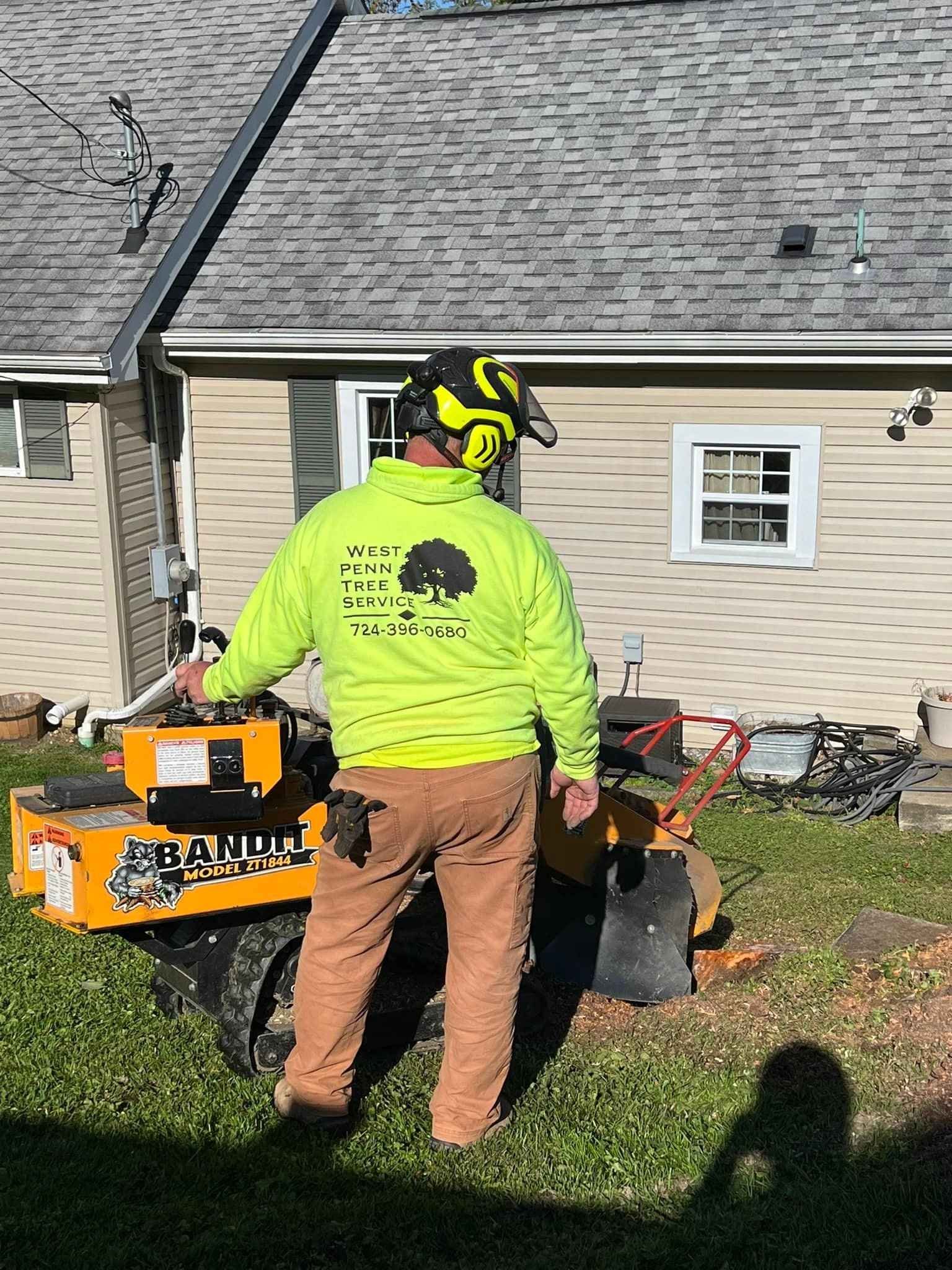 Stump Grinding Service in Irwin PA