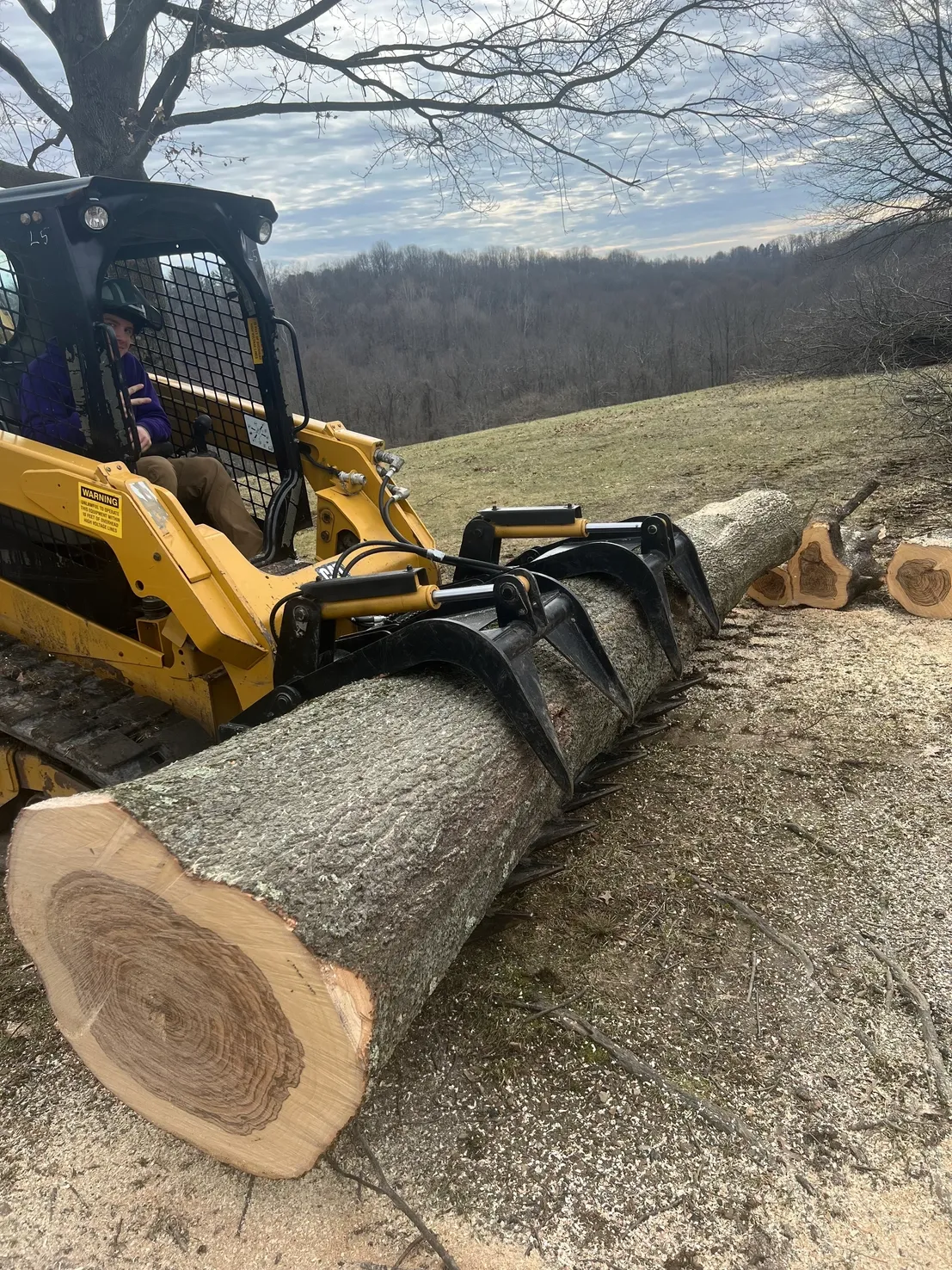 Best Tree Removal in Irvine, PA