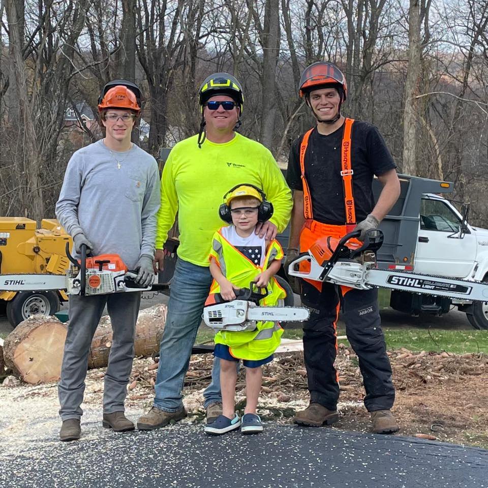 Arborist in Irwin, PA