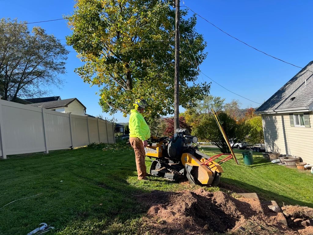 Tree Care Service Irwin